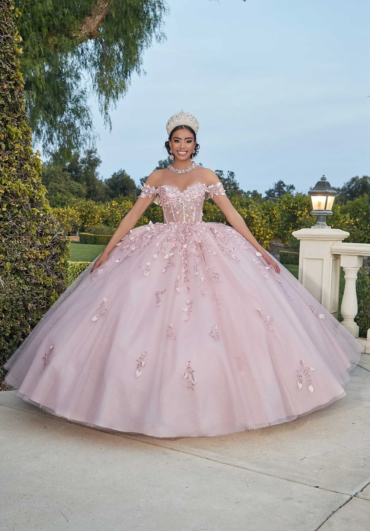 Dress Three-Dimensional Glitter Embroidered Quinceañera Dress